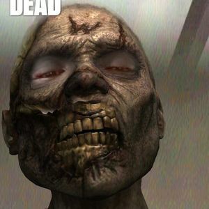 Meet your Posher, Levar